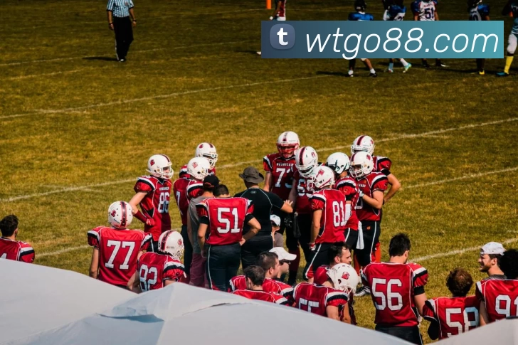 App Interface Preview